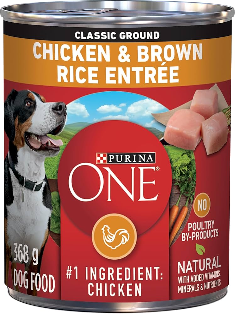 Purina ONE – Classic Ground – Chicken & Brown Rice