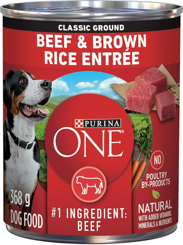 Purina ONE – Classic Ground – Beef & Brown Rice